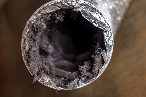 Best Air Duct Cleaning Near Me  in Millport, AL