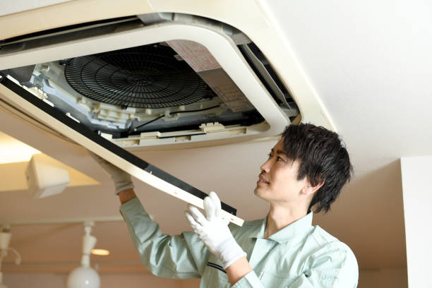 Best Affordable HVAC Duct Cleaning  in Millport, AL