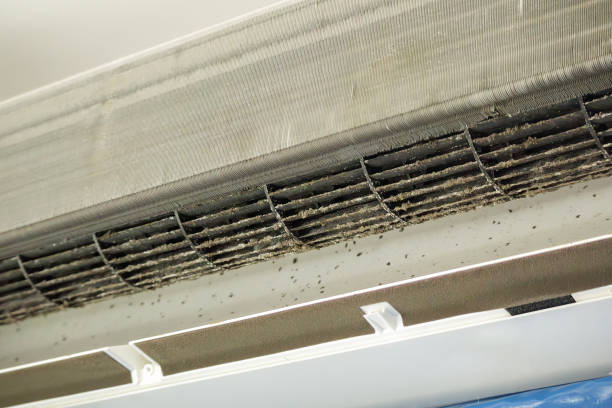 Best Home Air Vent Cleaning  in Millport, AL
