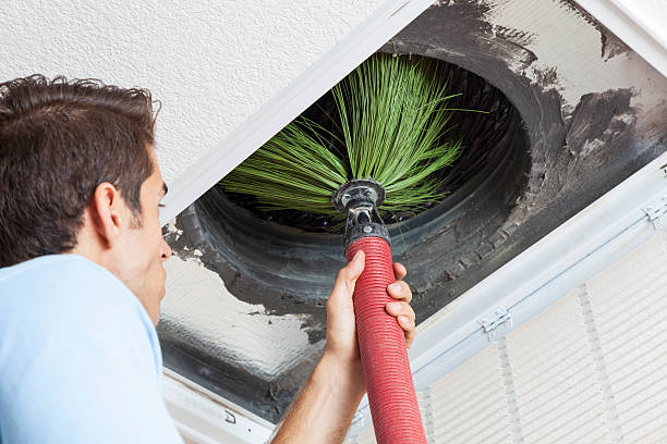 Best Air Duct Cleaning Company Near Me  in Millport, AL