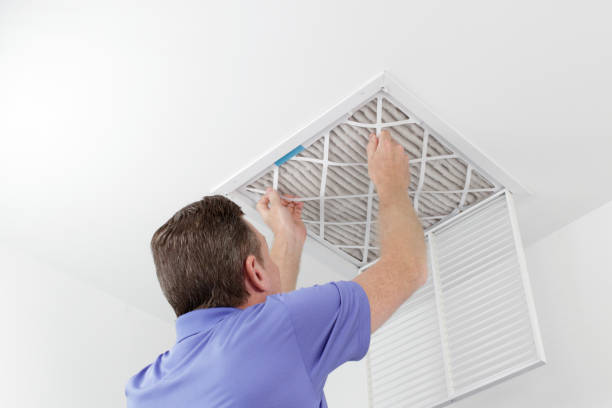 Best HVAC System Cleaning  in Millport, AL